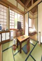 Niizuma Shino / 新妻詩乃 [Tsuchinoko] [Original] Thumbnail Page 334