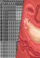 Niizuma Tamaki ~Tamaki no Aisai Nikki + Harem End no Sorekara~ / 新妻環 ～環の愛妻日記+ハーレムENDのそれから～ [Tsuchinoko] [Original] Thumbnail Page 38