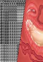 Niizuma Tamaki ~Tamaki no Aisai Nikki + Harem End no Sorekara~ / 新妻環 ～環の愛妻日記+ハーレムENDのそれから～ [Tsuchinoko] [Original] Thumbnail Page 39