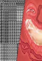 Niizuma Tamaki ~Tamaki no Aisai Nikki + Harem End no Sorekara~ / 新妻環 ～環の愛妻日記+ハーレムENDのそれから～ [Tsuchinoko] [Original] Thumbnail Page 40