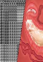 Niizuma Tamaki ~Tamaki no Aisai Nikki + Harem End no Sorekara~ / 新妻環 ～環の愛妻日記+ハーレムENDのそれから～ [Tsuchinoko] [Original] Thumbnail Page 41