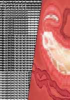 Niizuma Tamaki ~Tamaki no Aisai Nikki + Harem End no Sorekara~ / 新妻環 ～環の愛妻日記+ハーレムENDのそれから～ [Tsuchinoko] [Original] Thumbnail Page 42