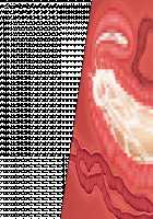 Niizuma Tamaki ~Tamaki no Aisai Nikki + Harem End no Sorekara~ / 新妻環 ～環の愛妻日記+ハーレムENDのそれから～ [Tsuchinoko] [Original] Thumbnail Page 82