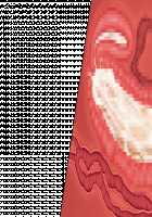 Niizuma Tamaki ~Tamaki no Aisai Nikki + Harem End no Sorekara~ / 新妻環 ～環の愛妻日記+ハーレムENDのそれから～ [Tsuchinoko] [Original] Thumbnail Page 84