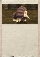 Rance Quest Magnum / ランス・クエスト マグナム [Orion] [Rance] Thumbnail Page 1125