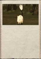 Rance Quest Magnum / ランス・クエスト マグナム [Orion] [Rance] Thumbnail Page 1134