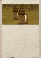 Rance Quest Magnum / ランス・クエスト マグナム [Orion] [Rance] Thumbnail Page 1165