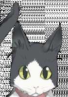 Rance Quest Magnum / ランス・クエスト マグナム [Orion] [Rance] Thumbnail Page 1250