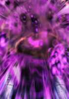 Rance Quest Magnum / ランス・クエスト マグナム [Orion] [Rance] Thumbnail Page 453