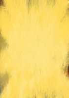 Rance 10 / ランス10 [Orion] [Rance] Thumbnail Page 294