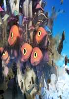 Rance 10 / ランス10 [Orion] [Rance] Thumbnail Page 55