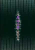 Banquet of Degeneration / 退化の宴 [Bakugatou] [Pokemon] Thumbnail Page 34