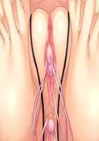 Ane Ane W Saimin ~Saimin Souchi de Kyonyuu Ane-domo ni Kyousei Nakadashi, Kichiku Netori de Haramaseteyaru!~ / 姉姉W催眠 ~催眠装置で巨乳姉どもに強制中出し、鬼畜寝取りで孕ませてやる!~ [Kobapyon] [Original] Thumbnail Page 165