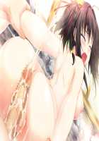 Baku Ane ～ Otouto Shibocchau zo! / ばくあね ～弟しぼっちゃうぞ! [Choco-Chip] [Original] Thumbnail Page 527