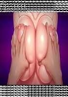 Ane Ane Z Saimin ~SmaPho Saimin Souchi de Bakunyuu Ane-domo ni Saimin Choukyou, Kichiku Netori de Haramasete Yaru!~ / 姉姉Z催眠～スマホ催眠装置で爆乳姉共に催眠調教、鬼畜寝取りで孕ませてやる!～ [Yatsuki Hiyori] [Original] Thumbnail Page 843