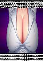 Ane Ane Z Saimin ~SmaPho Saimin Souchi de Bakunyuu Ane-domo ni Saimin Choukyou, Kichiku Netori de Haramasete Yaru!~ / 姉姉Z催眠～スマホ催眠装置で爆乳姉共に催眠調教、鬼畜寝取りで孕ませてやる!～ [Yatsuki Hiyori] [Original] Thumbnail Page 847