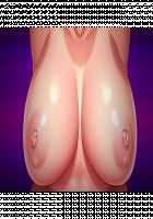 Ane Ane Z Saimin ~SmaPho Saimin Souchi de Bakunyuu Ane-domo ni Saimin Choukyou, Kichiku Netori de Haramasete Yaru!~ / 姉姉Z催眠～スマホ催眠装置で爆乳姉共に催眠調教、鬼畜寝取りで孕ませてやる!～ [Yatsuki Hiyori] [Original] Thumbnail Page 907