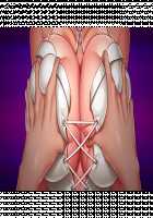 Ane Ane Z Saimin ~SmaPho Saimin Souchi de Bakunyuu Ane-domo ni Saimin Choukyou, Kichiku Netori de Haramasete Yaru!~ / 姉姉Z催眠～スマホ催眠装置で爆乳姉共に催眠調教、鬼畜寝取りで孕ませてやる!～ [Yatsuki Hiyori] [Original] Thumbnail Page 919