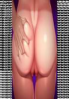 Ane Ane Z Saimin ~SmaPho Saimin Souchi de Bakunyuu Ane-domo ni Saimin Choukyou, Kichiku Netori de Haramasete Yaru!~ / 姉姉Z催眠～スマホ催眠装置で爆乳姉共に催眠調教、鬼畜寝取りで孕ませてやる!～ [Yatsuki Hiyori] [Original] Thumbnail Page 927