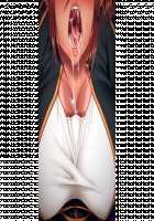 Ane Ane Z Saimin ~SmaPho Saimin Souchi de Bakunyuu Ane-domo ni Saimin Choukyou, Kichiku Netori de Haramasete Yaru!~ / 姉姉Z催眠～スマホ催眠装置で爆乳姉共に催眠調教、鬼畜寝取りで孕ませてやる!～ [Yatsuki Hiyori] [Original] Thumbnail Page 955