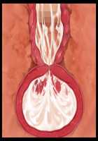 Otto o Aisuru Bakunyuu Hitozuma-tachi ga Toshishita no Saru Seiyoku ni Juurin sarete Tsugou no Ii Harami Omocha ni Ochiru Made / 夫を愛する爆乳人妻たちが年下のサル性欲に蹂躙されて都合のいい孕み玩具に堕ちるまで [Yatsuki Hiyori] [Original] Thumbnail Page 400