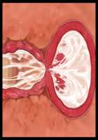 Otto o Aisuru Bakunyuu Hitozuma-tachi ga Toshishita no Saru Seiyoku ni Juurin sarete Tsugou no Ii Harami Omocha ni Ochiru Made / 夫を愛する爆乳人妻たちが年下のサル性欲に蹂躙されて都合のいい孕み玩具に堕ちるまで [Yatsuki Hiyori] [Original] Thumbnail Page 419