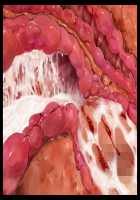 Otto o Aisuru Bakunyuu Hitozuma-tachi ga Toshishita no Saru Seiyoku ni Juurin sarete Tsugou no Ii Harami Omocha ni Ochiru Made / 夫を愛する爆乳人妻たちが年下のサル性欲に蹂躙されて都合のいい孕み玩具に堕ちるまで [Yatsuki Hiyori] [Original] Thumbnail Page 442