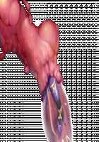 Taimashi Shion / 退魔師紫苑 [Tokumei Hero] [Original] Thumbnail Page 164