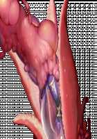 Taimashi Shion / 退魔師紫苑 [Tokumei Hero] [Original] Thumbnail Page 165