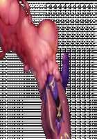 Taimashi Shion / 退魔師紫苑 [Tokumei Hero] [Original] Thumbnail Page 233