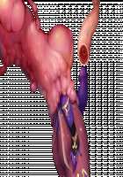 Taimashi Shion / 退魔師紫苑 [Tokumei Hero] [Original] Thumbnail Page 234