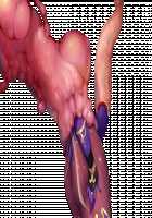 Taimashi Shion / 退魔師紫苑 [Tokumei Hero] [Original] Thumbnail Page 235