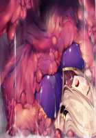 Taimashi Shion / 退魔師紫苑 [Tokumei Hero] [Original] Thumbnail Page 239