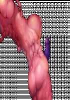 Taimashi Shion / 退魔師紫苑 [Tokumei Hero] [Original] Thumbnail Page 276