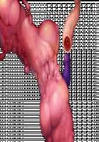 Taimashi Shion / 退魔師紫苑 [Tokumei Hero] [Original] Thumbnail Page 277