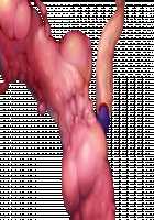 Taimashi Shion / 退魔師紫苑 [Tokumei Hero] [Original] Thumbnail Page 278