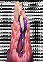 Taimashi Shion / 退魔師紫苑 [Tokumei Hero] [Original] Thumbnail Page 447