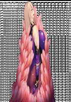 Taimashi Shion / 退魔師紫苑 [Tokumei Hero] [Original] Thumbnail Page 448