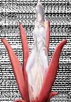 Taimashi Shion / 退魔師紫苑 [Tokumei Hero] [Original] Thumbnail Page 560