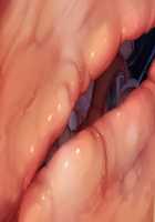 Taimashi Shion / 退魔師紫苑 [Tokumei Hero] [Original] Thumbnail Page 569