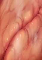 Taimashi Shion / 退魔師紫苑 [Tokumei Hero] [Original] Thumbnail Page 570