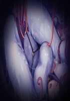 Taimashi Shion / 退魔師紫苑 [Tokumei Hero] [Original] Thumbnail Page 571