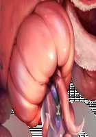 Taimashi Shion / 退魔師紫苑 [Tokumei Hero] [Original] Thumbnail Page 611