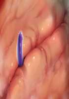 Taimashi Shion / 退魔師紫苑 [Tokumei Hero] [Original] Thumbnail Page 613