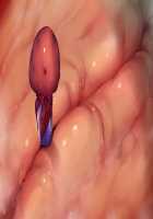 Taimashi Shion / 退魔師紫苑 [Tokumei Hero] [Original] Thumbnail Page 614