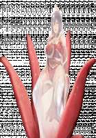 Taimashi Shion / 退魔師紫苑 [Tokumei Hero] [Original] Thumbnail Page 820