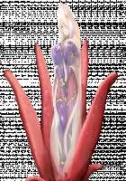 Taimashi Shion / 退魔師紫苑 [Tokumei Hero] [Original] Thumbnail Page 840