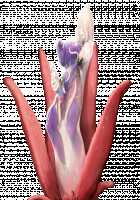 Taimashi Shion / 退魔師紫苑 [Tokumei Hero] [Original] Thumbnail Page 852