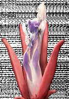 Taimashi Shion / 退魔師紫苑 [Tokumei Hero] [Original] Thumbnail Page 853