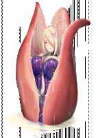 Taimashi Shion / 退魔師紫苑 [Tokumei Hero] [Original] Thumbnail Page 886